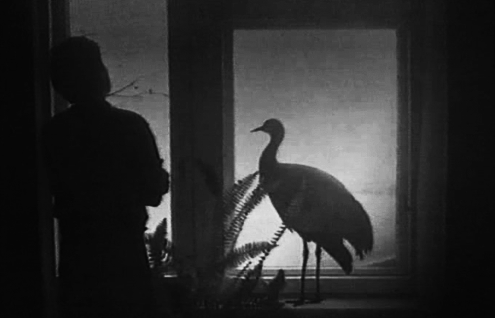 【中古】 Oriental Elegy, Etc Alexsander Sokurov Oriental Elegy (1996) | MUBI