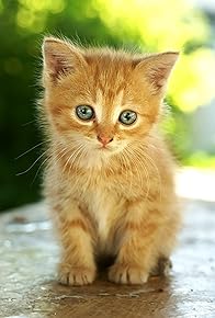 Primary photo for Pet Babies
