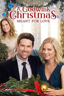 Poster of A Godwink Christmas: Meant for Love