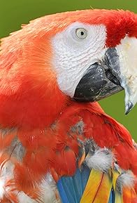 Primary photo for Douglas