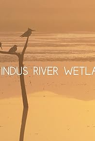 Primary photo for The Indus River Wetlands