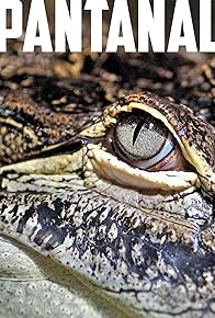 Primary photo for Pantanal: Série