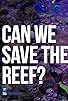 Primary photo for Can We Save the Reef? Primary photo for Can We Save the Reef?