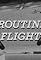Routine Flight's primary photo