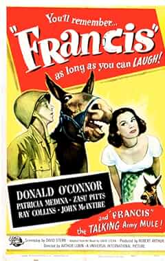 Watch The Batman online free | LugaTv