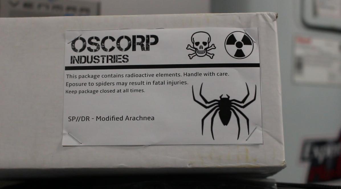 Spider-Man: The Web Series