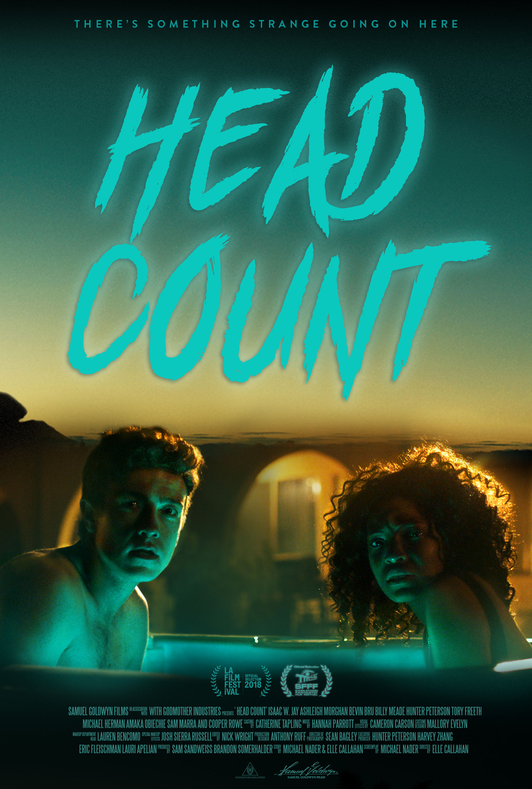 Poster of Head Count