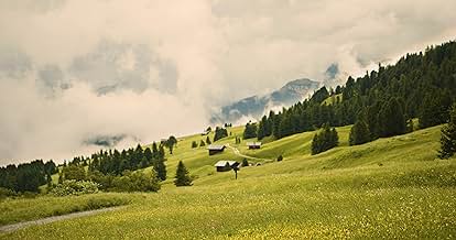 पोस्टर देखें