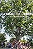 Primary photo for Tale of the Great Oak