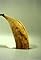 Bananes's primary photo