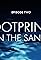 One Ocean: Footprints in the Sand's primary photo