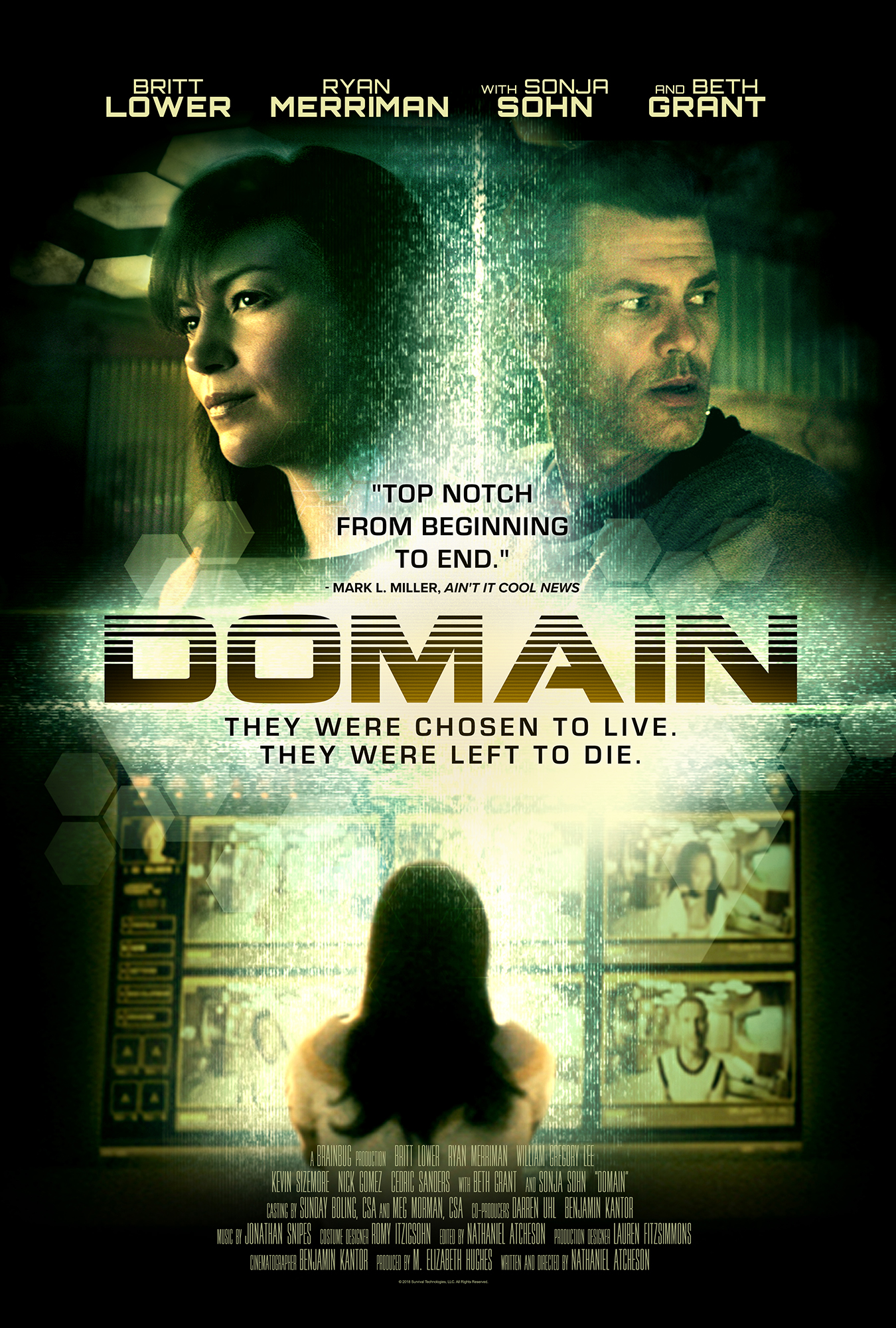 Poster of Domain