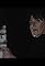Delia Derbyshire: The Myths and the Legendary Tapes's primary photo