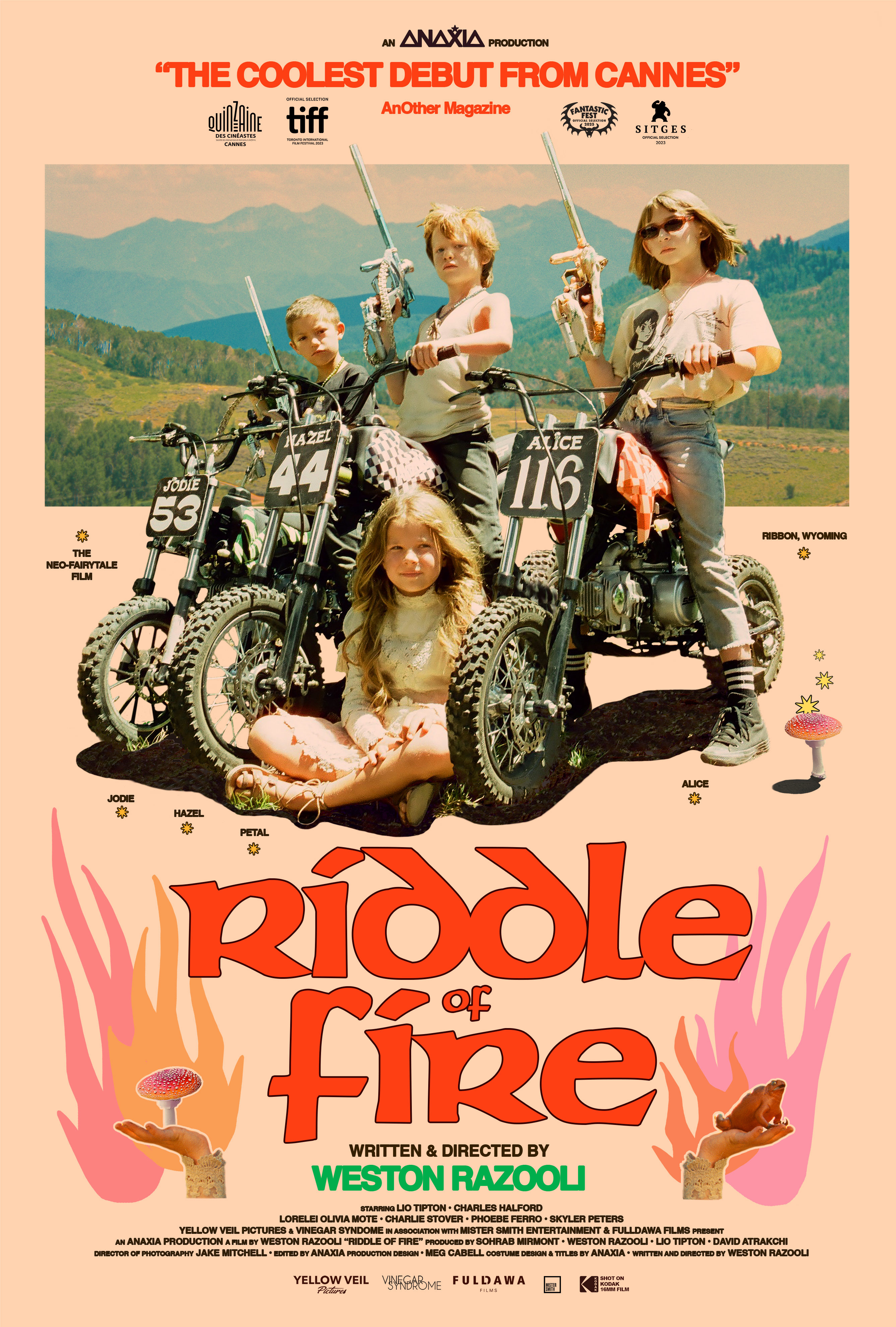 Poster of Riddle of Fire