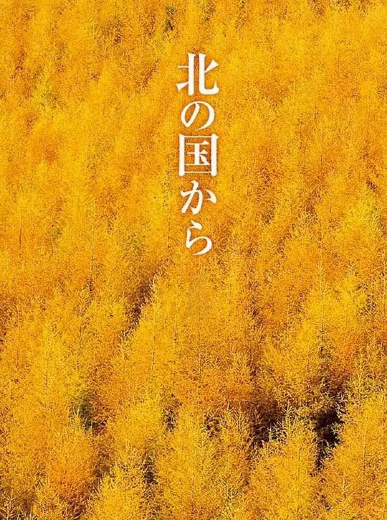 【日本の旅情シリーズ】 「初冬の東北②」 マーケタリー・木目象嵌 No.4 hq720.jpg?sqp=-