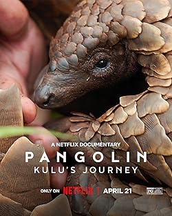 Poster of Pangolin: Kulu's Journey