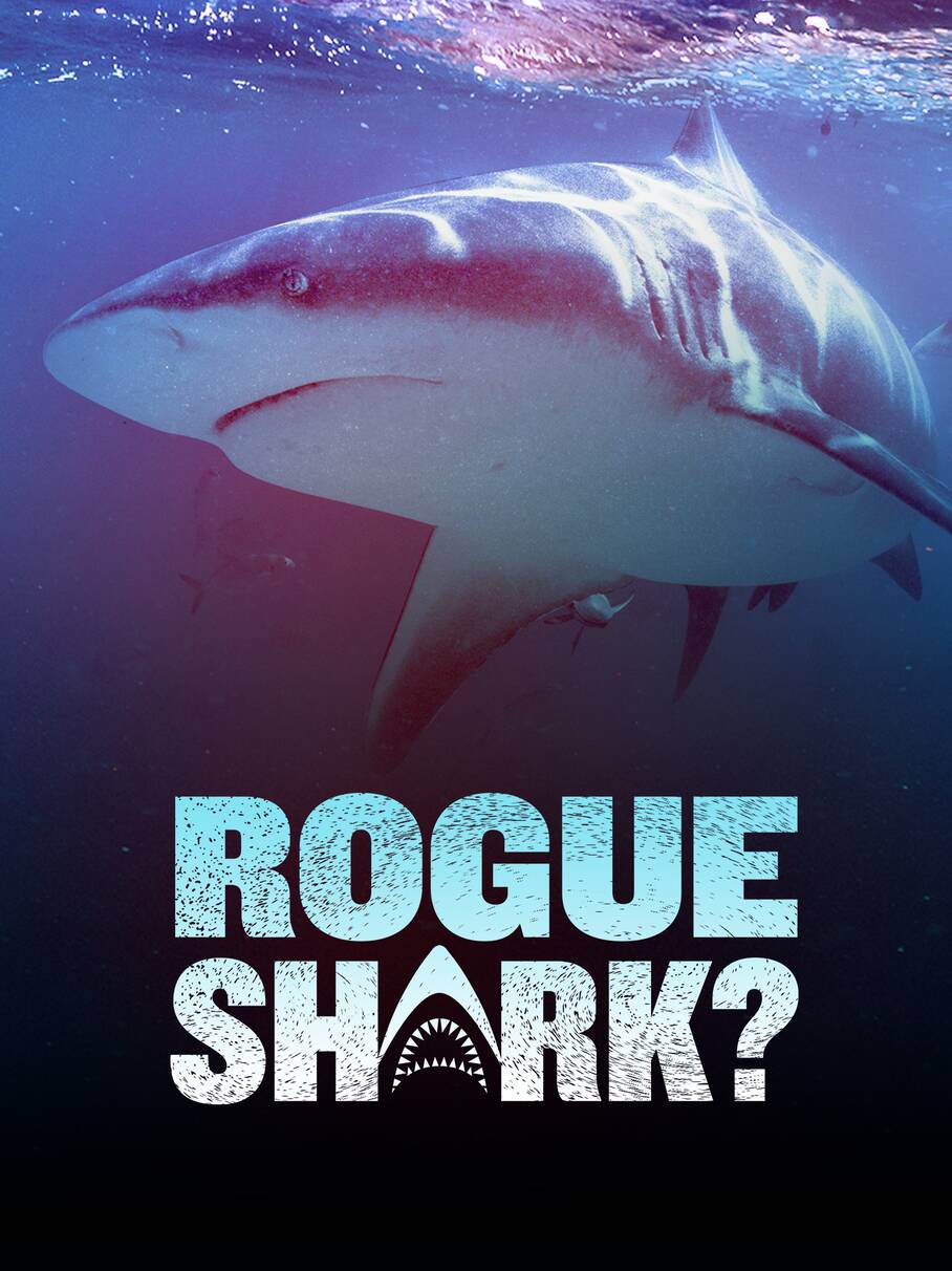 Poster of Rogue Shark?