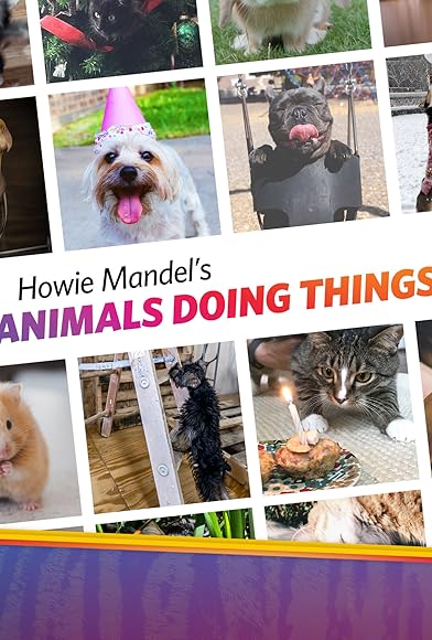 Primary photo for Howie Mandel's Animals Doing Things Primary photo for Howie Mandel's Animals Doing Things