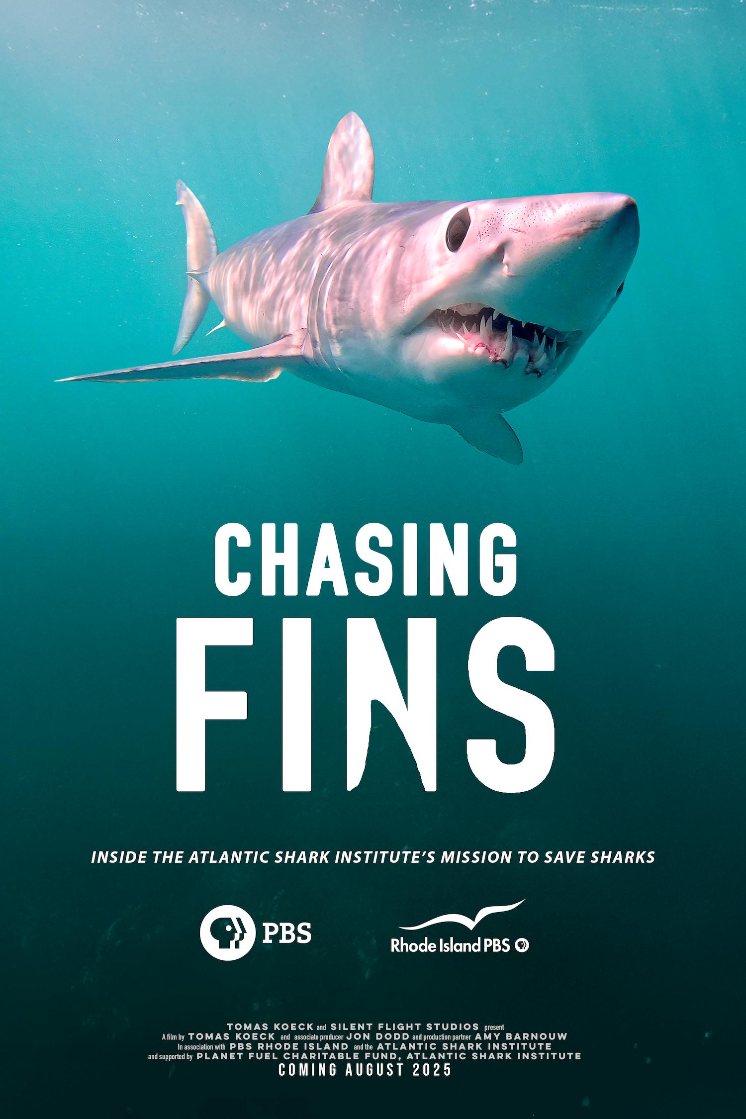 Chasing Fins