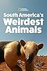 Primary photo for South America's Weirdest Animals Primary photo for South America's Weirdest Animals