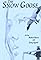 The Snow Goose's primary photo