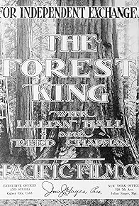 Primary photo for The Forest King Primary photo for The Forest King