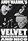 The Velvet Underground and Nico's primary photo