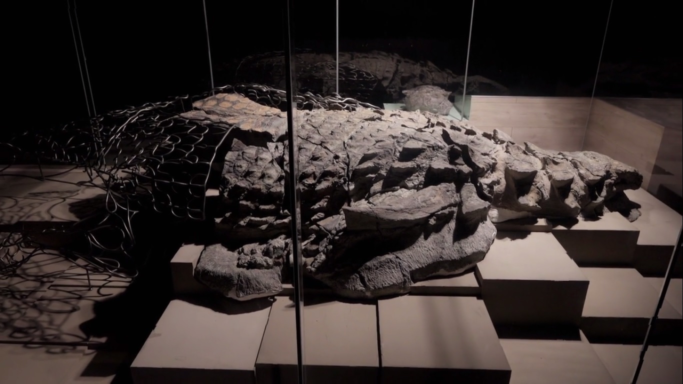 Drain the Oceans" Secrets of the Dinosaurs (TV Episode 2023) - IMDb