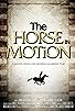 Primary photo for The Horse In Motion