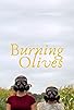 Primary photo for Burning Olives Primary photo for Burning Olives