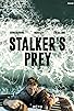Primary photo for Stalker's Prey Primary photo for Stalker's Prey