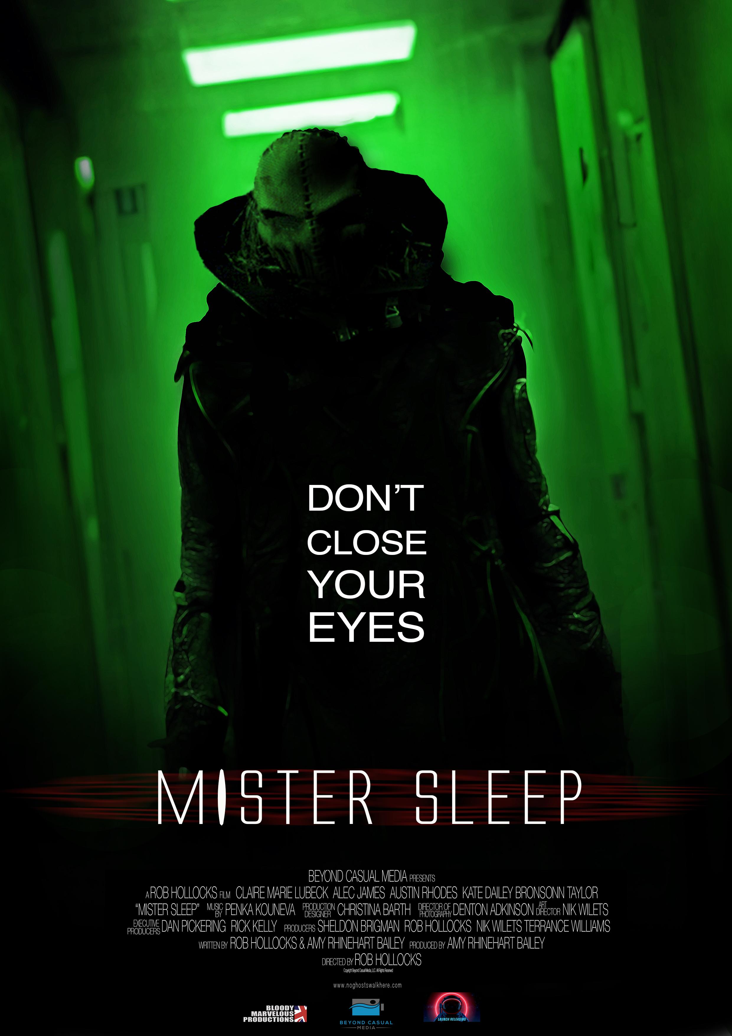 Poster of Mister Sleep