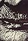 Paradise Lost: Say Just Words's primary photo
