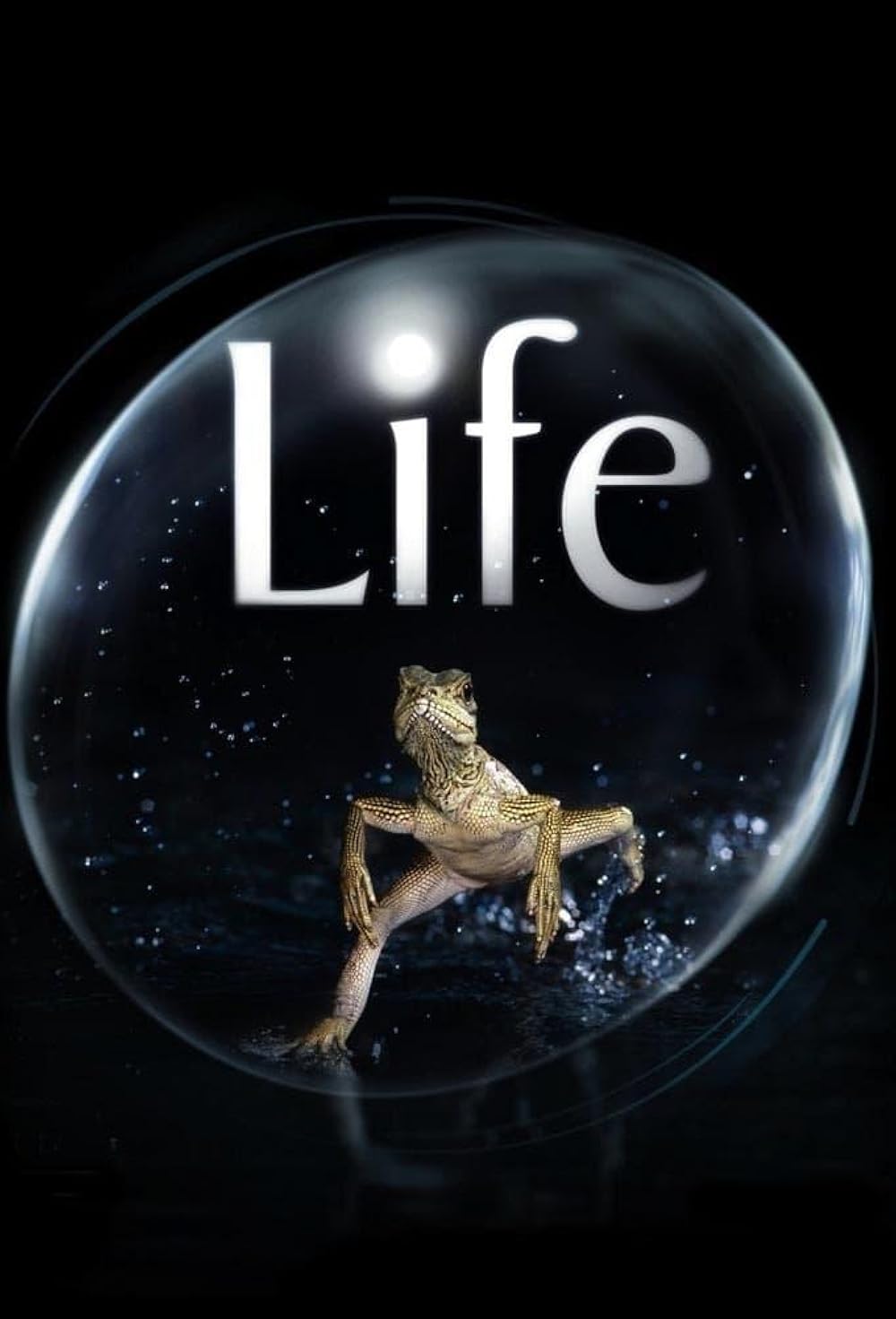 BBC ドキュメント LIFEシリーズ コンプリートコレクション DVD-BOX (4360分) [DVD] [Import] Amazon.co.jp: BBC ドキュメント LIFEシリーズ コンプリート