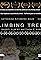 Climbing Trees's primary photo