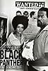 Primary photo for Eldridge Cleaver, Black Panther