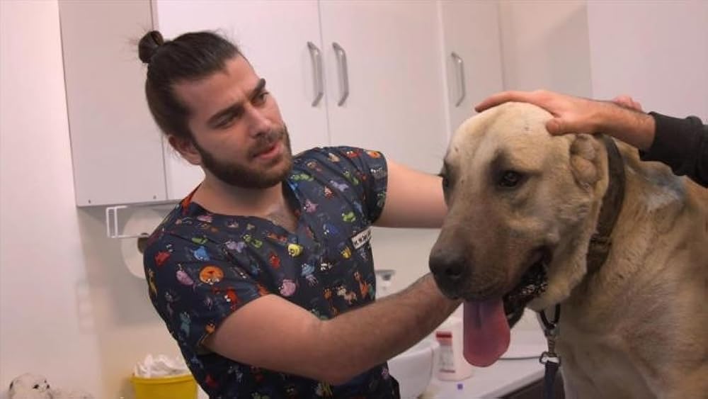 Porno kliplar porno filmlarda debyut