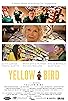 Primary photo for Yellow Bird Primary photo for Yellow Bird