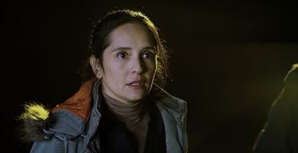 पोस्टर देखें