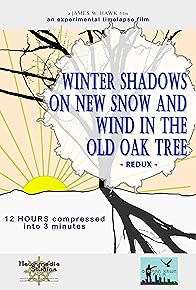 Primary photo for Winter Shadows on the New Snow and Wind in the Old Oak Tree