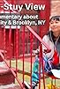 Primary photo for Bed-Stuy View Primary photo for Bed-Stuy View