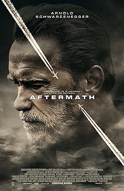 Poster of Aftermath