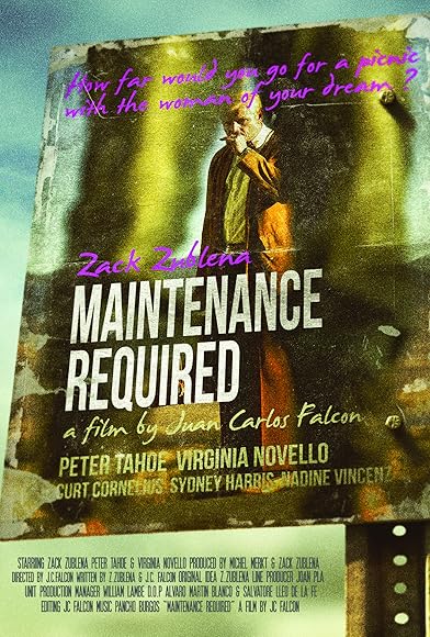 Primary photo for Maintenance Required Primary photo for Maintenance Required