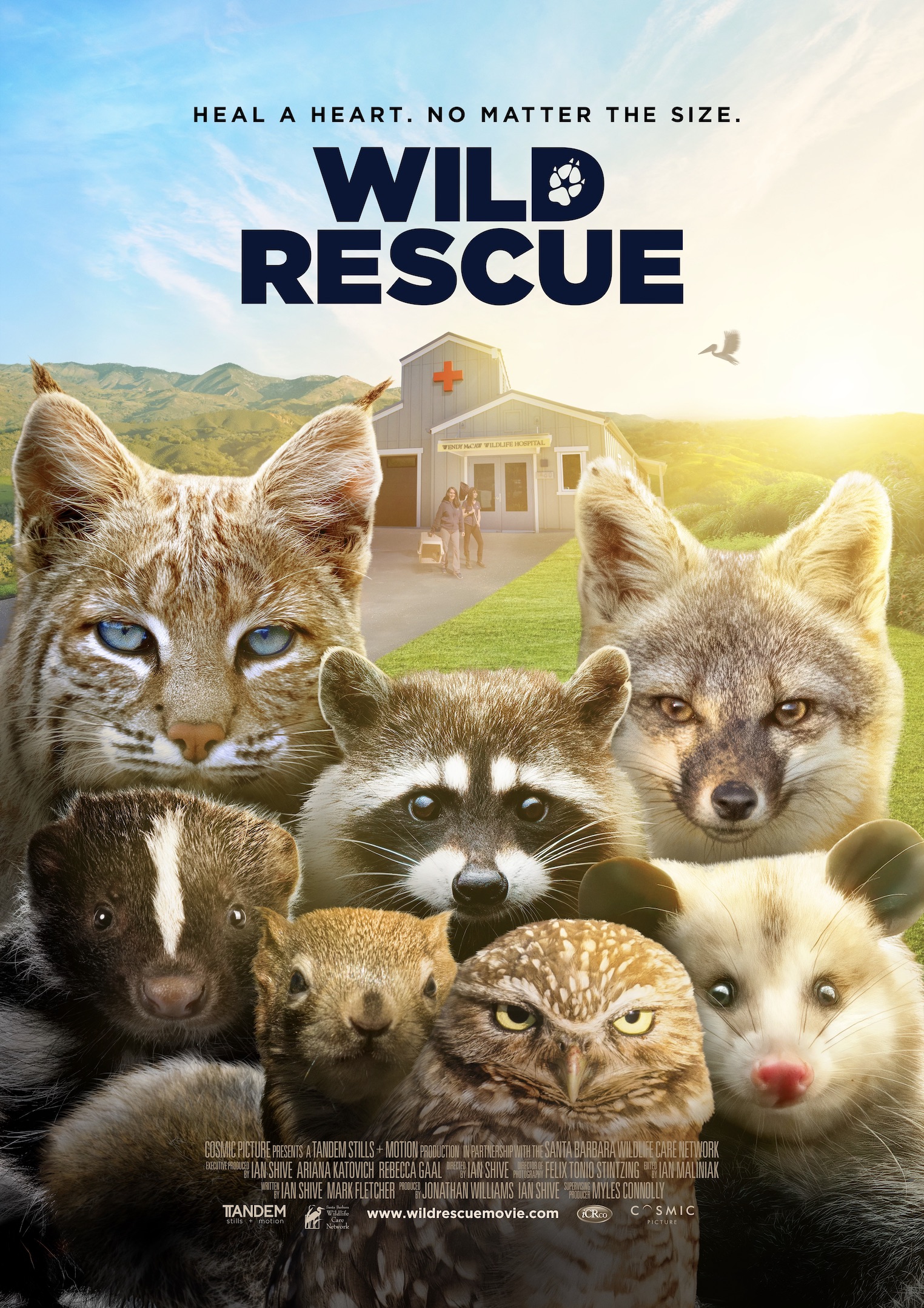 Wild Rescue