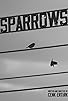Primary photo for Sparrows