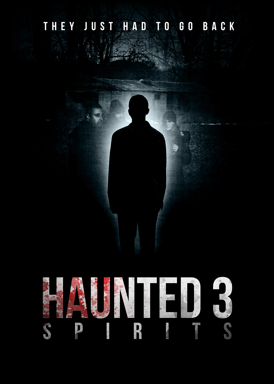Poster of Haunted 3: Spirits