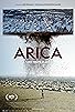 Primary photo for Arica Primary photo for Arica