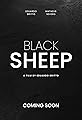 Black Sheep's primary photo