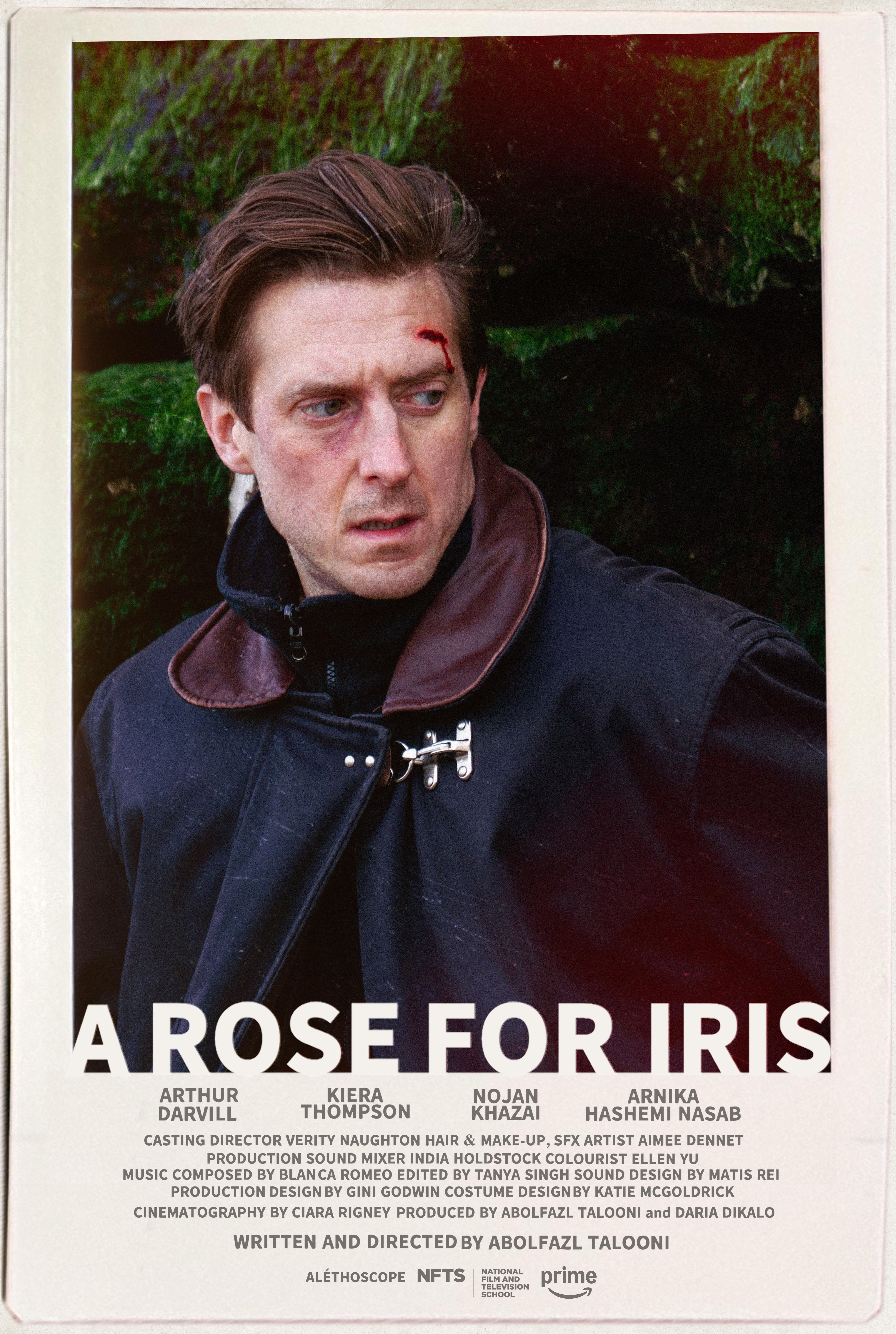 A Rose for Iris