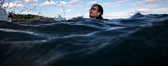 पोस्टर देखें